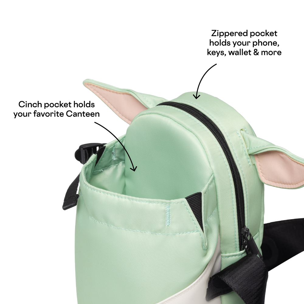 disney-sling-j8 53593b3e49e2--Sling-PDP-4.png