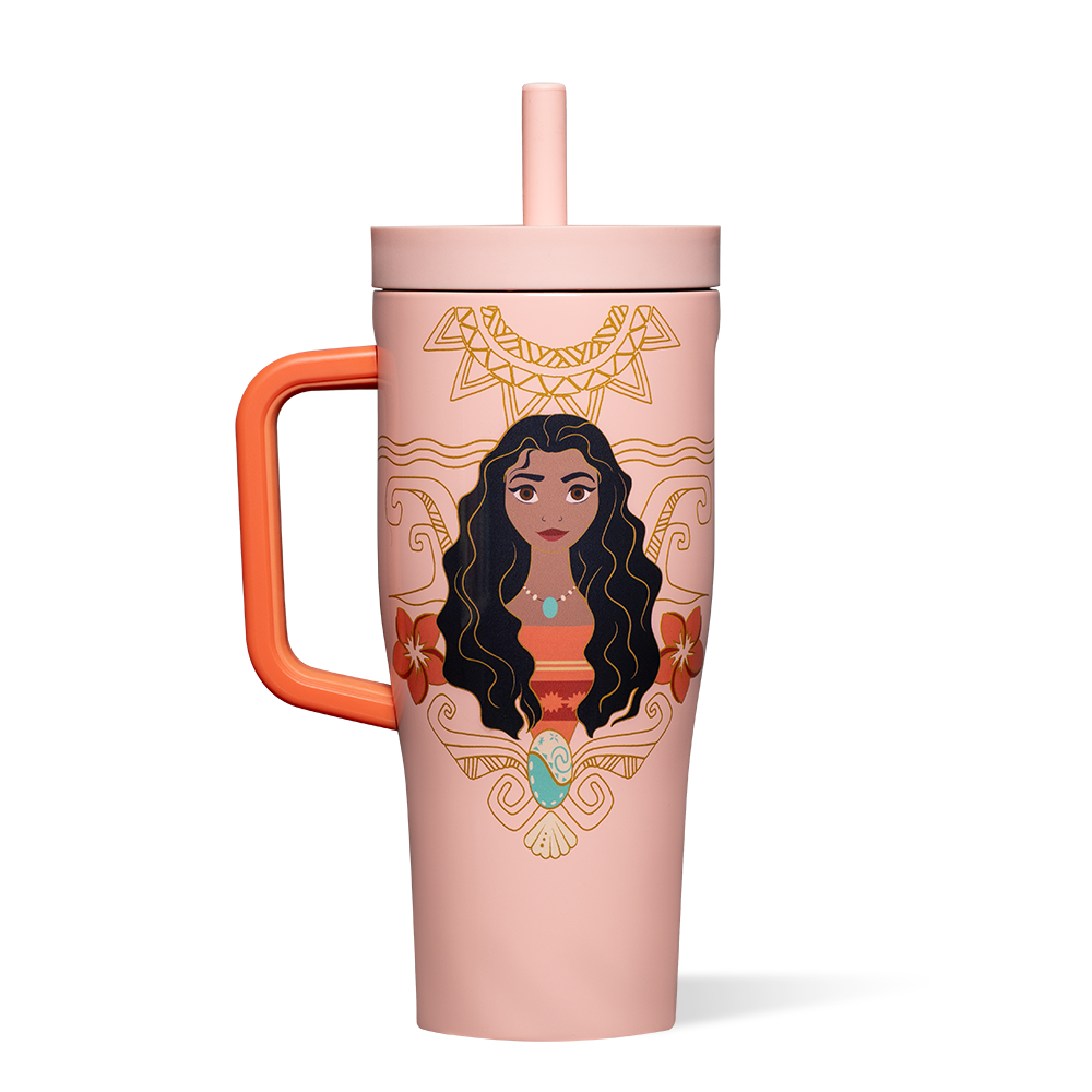 disney-princess-leakproof-cruiser-r3 DIS2222DP-M-01.png
