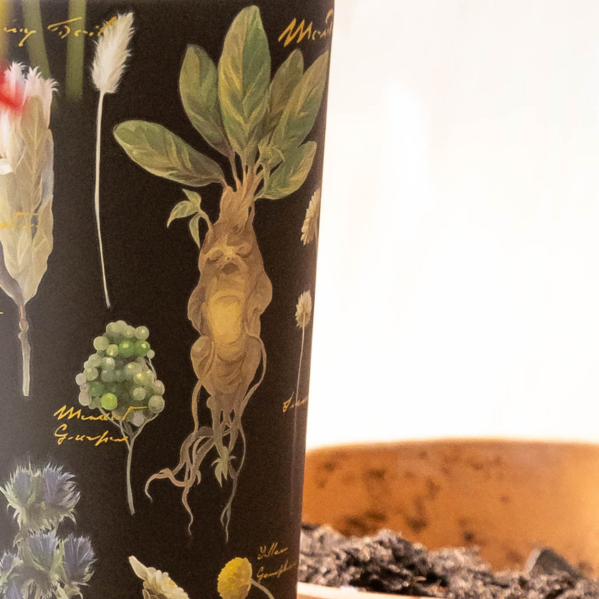 harry-potter-cold-cup-d8 Herbology-3.jpg