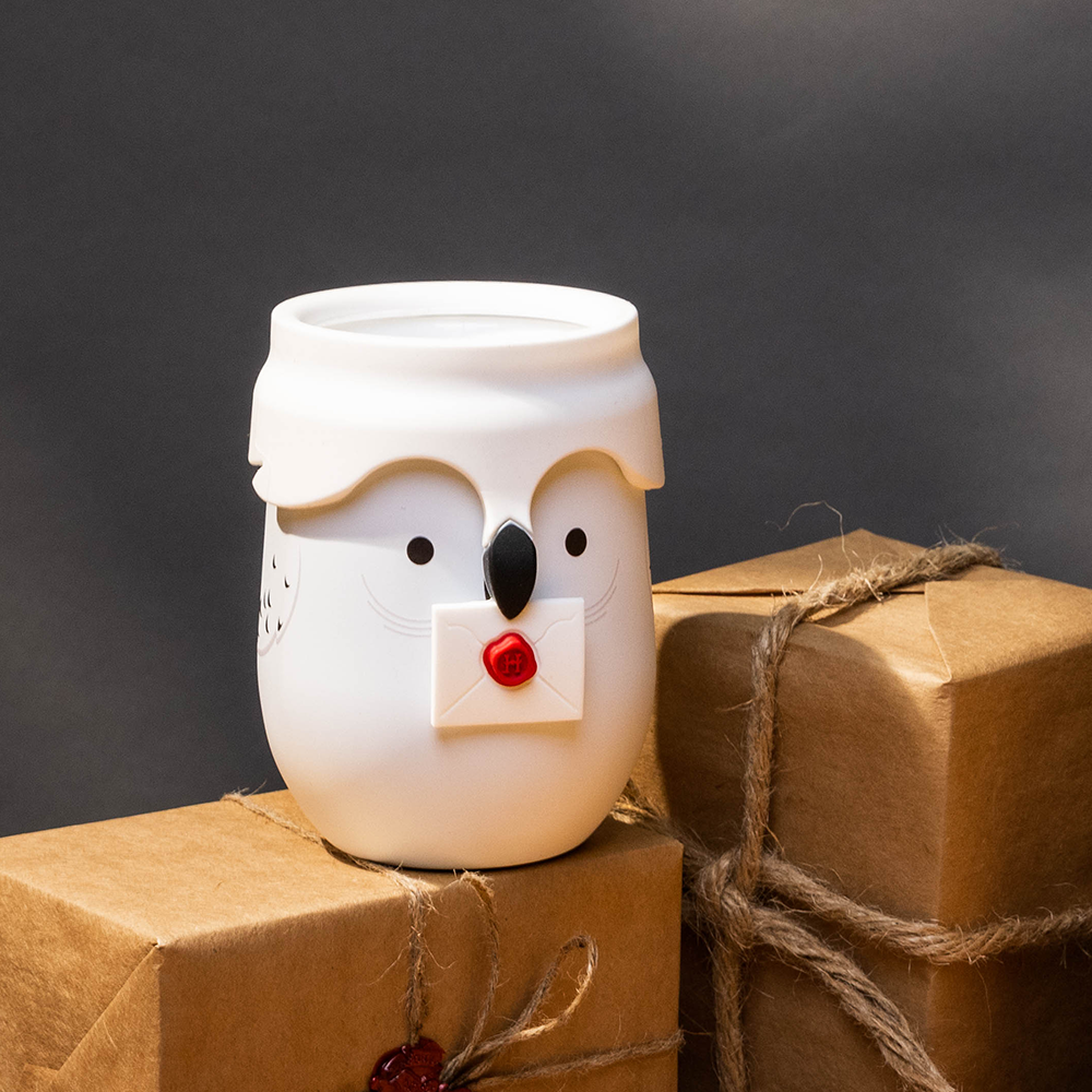 harry-potter-stemless-z5 da329e4f7c5d--Hedwig-Lifestyle-3.png