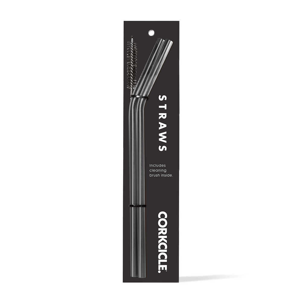 tumbler-straw-2-pack-z3 gunmetal.png
